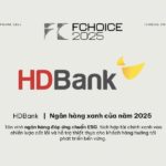 International Green Capital: Why HDBank Stands Among the Select Few?