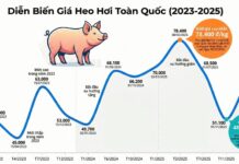 “Pork Price Predictions 2025: A Rollercoaster Ride and the Battle of Industry Giants”