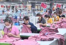 U.S.-India Trade Hits Snag, Spotlight Shifts to Vietnam’s Key Export Sector