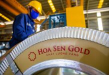 Hoa Sen Group Plans to Establish Iron and Steel Manufacturing Company in Hai Phong