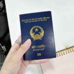 Starting 2026: Three New Cases for Passport Revocation and Cancellation