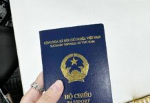Starting 2026: Three New Cases for Passport Revocation and Cancellation