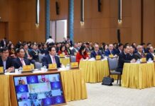 Prime Minister: Facilitating Overseas Vietnamese Participation in National Development