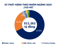 Over 19.6 Trillion VND in Corporate Bonds Issued in November 2025