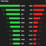 Foreign Investors Pour Nearly 700 Billion VND into Vietnamese Stocks on December 23: Which Stocks Are in the Spotlight?