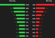 Foreign Investors Pour Nearly 700 Billion VND into Vietnamese Stocks on December 23: Which Stocks Are in the Spotlight?