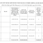 Hoang Quan Real Estate Issues 50 Million Shares in Debt-to-Equity Swap for Four Creditors