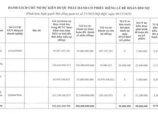 Hoang Quan Real Estate Issues 50 Million Shares in Debt-to-Equity Swap for Four Creditors