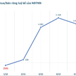 Billionaire Pham Nhat Vuong’s Stocks Witness Sudden Surge in Foreign Net Buying in Early December