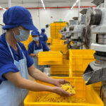 Top Lunar New Year Bonus 2026 in Ho Chi Minh City and Southern Vietnam