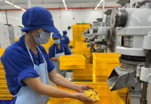 Top Lunar New Year Bonus 2026 in Ho Chi Minh City and Southern Vietnam