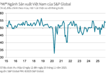Positive PMI Signals for Vietnam in November