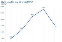 Foreign Investors Net Buy Nearly VND 1.6 Trillion in Week 22-26/12: Which Stocks Were Most Heavily Accumulated?