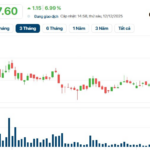 Unveiling the Turbulent Journey of Quoc Cuong Gia Lai