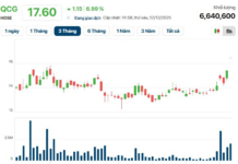 Unveiling the Turbulent Journey of Quoc Cuong Gia Lai