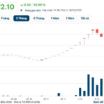 Hanoi City Secures Nearly VND 1.4 Trillion from Capital Withdrawal, Winning Bid 10 Times Higher Than Starting Price for 3.6-Hectare Nguyen Trai Road Land Plot
