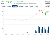 Hanoi City Secures Nearly VND 1.4 Trillion from Capital Withdrawal, Winning Bid 10 Times Higher Than Starting Price for 3.6-Hectare Nguyen Trai Road Land Plot