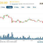 Australian Triumph for Billionaire Tran Dinh Long