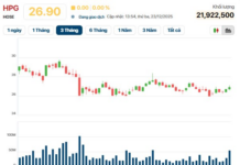 Australian Triumph for Billionaire Tran Dinh Long