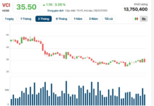 Vietcap Announces Cash Dividend Payout Ahead of Lunar New Year, Approved by Chairman Nguyen Thanh Phuong