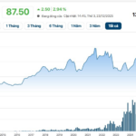Massive Supermarket Expansion Propels MWG’s Market Cap to Record $5 Billion