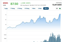 Massive Supermarket Expansion Propels MWG’s Market Cap to Record $5 Billion