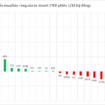 Billionaire Pham Nhat Vuong’s Shares Targeted in Massive $100 Billion Buyout Blitz