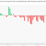 Foreign Investors Pour 3.4 Trillion VND into Vietnamese Stocks in Just 5 Sessions, Signaling a Major Market Comeback