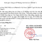 Finance Ministry’s Special Entity Emerges as Major Creditor of Hoang Anh Gia Lai