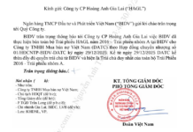 Finance Ministry’s Special Entity Emerges as Major Creditor of Hoang Anh Gia Lai