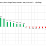 Surprise Power Injects Hundreds of Billions to Scoop Up Vietnamese Stocks Amid Market Plunge in Final Week’s Session