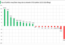 Surprise Power Injects Hundreds of Billions to Scoop Up Vietnamese Stocks Amid Market Plunge in Final Week’s Session