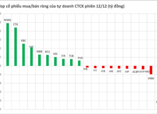 Surprise Power Injects Hundreds of Billions to Scoop Up Vietnamese Stocks Amid Market Plunge in Final Week’s Session