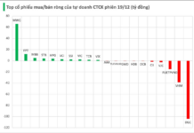 Massive $13 Million Buying Spree: Mystery Force Scoops Up Vietnamese Stocks in Friday’s Trading Session