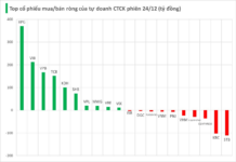 Proprietary Trading Firms Surge with Nearly $17 Million in Blue-Chip Stock Purchases on December 24th