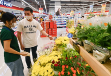 AI Revolutionizes FMCG Supply Chains: Viettel Solutions Delivers Practical Insights