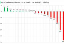 Two Stock Codes Witness Abnormal Net Selling by Securities Firms, Totaling Hundreds of Billions in the December 3rd Session