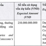 Coteccons Plans Bond Issuance to Fund VND 250 Billion in Employee Bonuses and Debt Repayments, Offering Fixed 9% Interest Rate