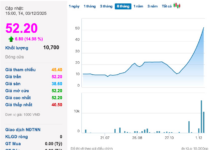 Upper Dinh Shoe Stock Surges with 11 Consecutive Circuit Limits: Leadership Responds