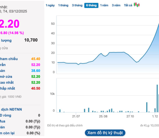 Upper Dinh Shoe Stock Surges with 11 Consecutive Circuit Limits: Leadership Responds