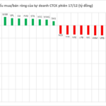 Proprietary Trading Firms Unload Hundreds of Billions of Vietnamese Stocks on December 17th: Which Stock Takes Center Stage?
