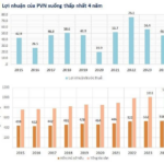 PetroVietnam Faces Over Half a Billion USD Shortfall in First Half of 2025