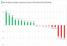 Brokerage Firms’ Proprietary Trading Drives VN-Index 47-Point Rally, Focusing on Blue-Chip Stock Accumulation