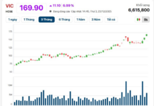 Billionaire Pham Nhat Vuong Raises $325 Million in Foreign Capital as VIC Stock Hits All-Time High