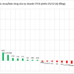 Bank Stock Surges as Brokerage Firms Unexpectedly Net Buy VND 400 Billion Amid 40-Point Index Rally