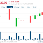 A Company Spreads Holiday Cheer with a 20% Cash Dividend Christmas Bonus