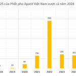 “Company Set to Finalize 100% Cash Dividend Payout”
