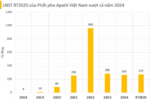 “Company Set to Finalize 100% Cash Dividend Payout”