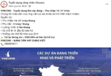 Vietnam’s $1B Conglomerate Led by Pham Nhat Vuong Launches Unprecedented Recruitment Drive: 100,000 Positions, Salaries Up to $1,700/Month