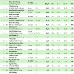 Unprecedented: Vietnamese Entrepreneur Gains $6.5 Billion in Wealth in Just One Month